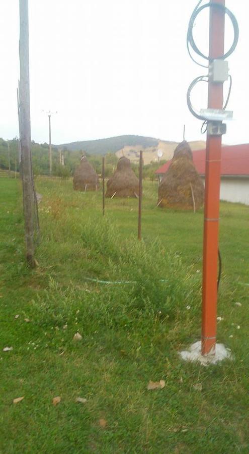 Pensiunea Aureliano Răchita Esterno foto