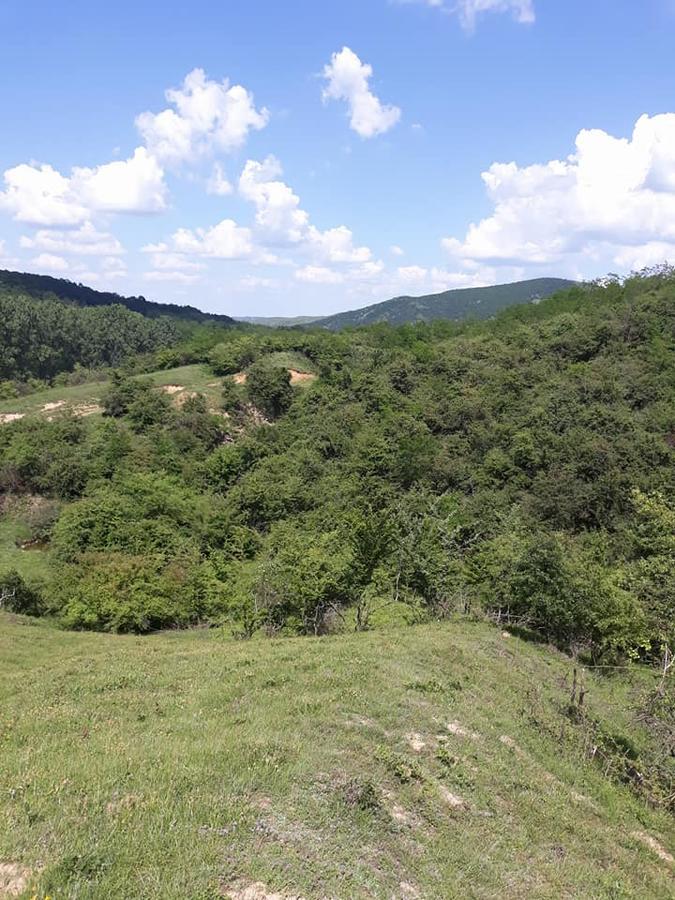 Pensiunea Aureliano Răchita Esterno foto